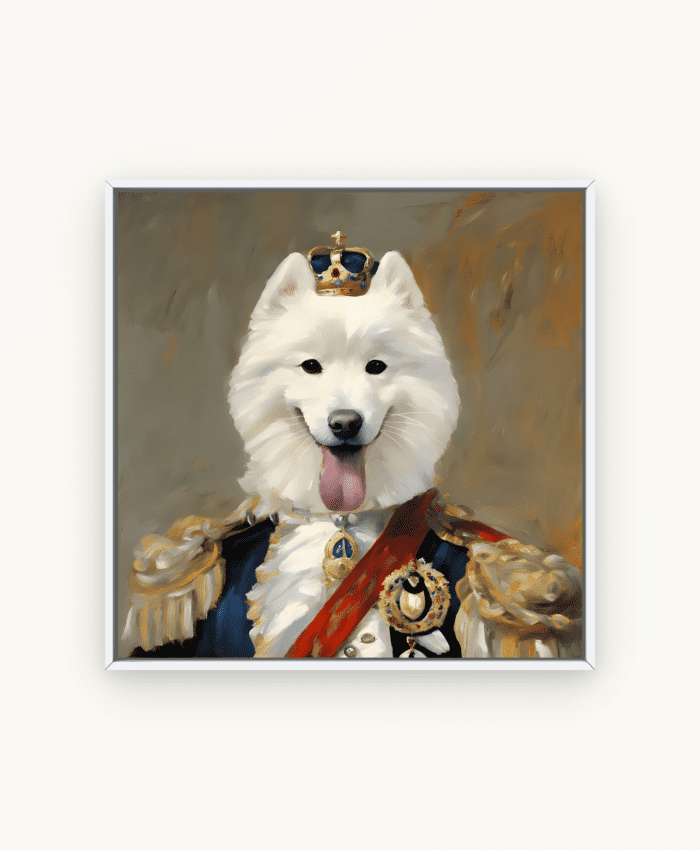 Costume Fantasy custom pet portrait illustration